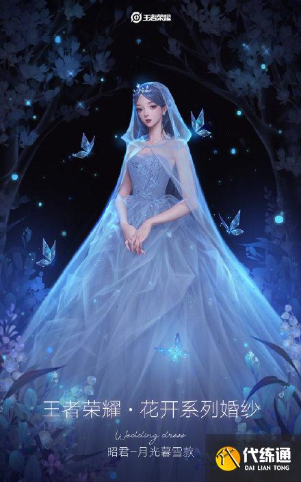 王者荣耀婚纱皮肤系列价格一览