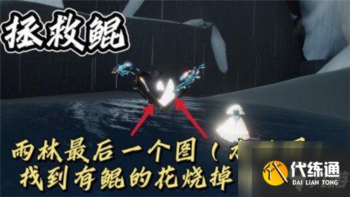 光遇霞谷彩虹下的蜡烛在哪 11.29每日任务流程介绍