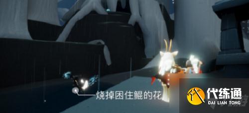 光遇11.29每日任务介绍：11.29每日任务完成步骤攻略