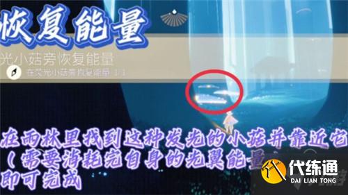 光遇12.5每日任务完成攻略2021