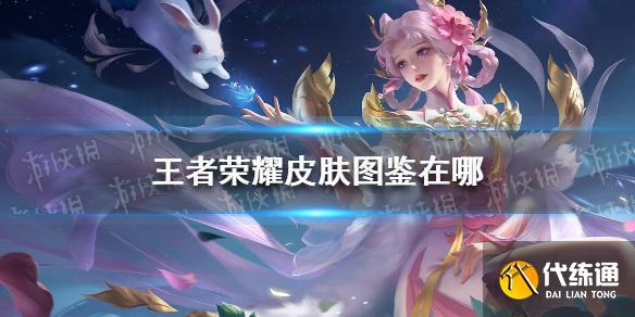《王者荣耀》皮肤图鉴在哪 王者荣耀皮肤图鉴入口介绍