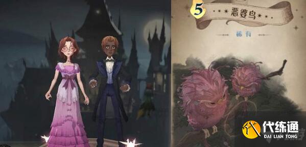 哈利波特魔法觉醒圣诞节有哪些服装 圣诞节服装是什么