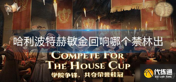 哈利波特赫敏金回响哪个禁林出