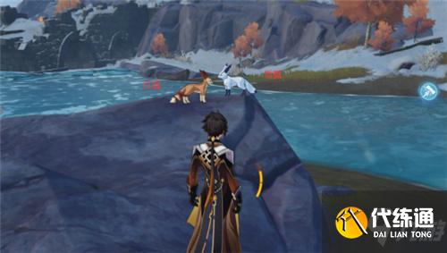 原神雪狐在哪里 动物刷新位置一览