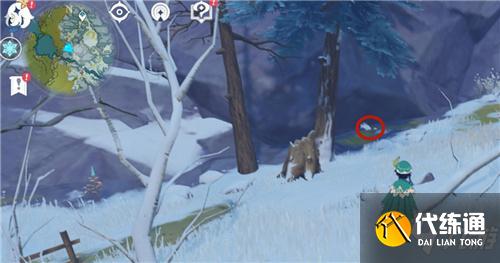原神雪狐在哪里 动物刷新位置一览