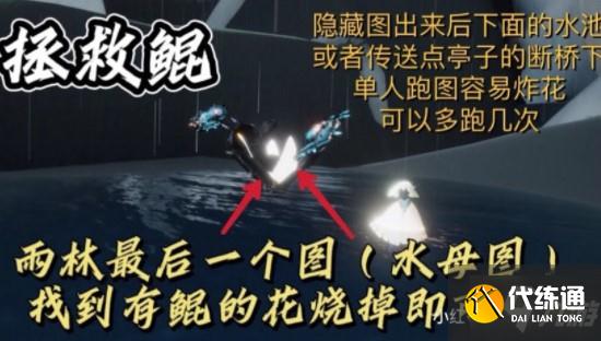 光遇12.20每日任务完成攻略2021