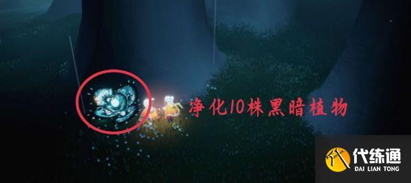 光遇12.24任务攻略大全：2021年12月24日每日任务完成流程[多图]图片4