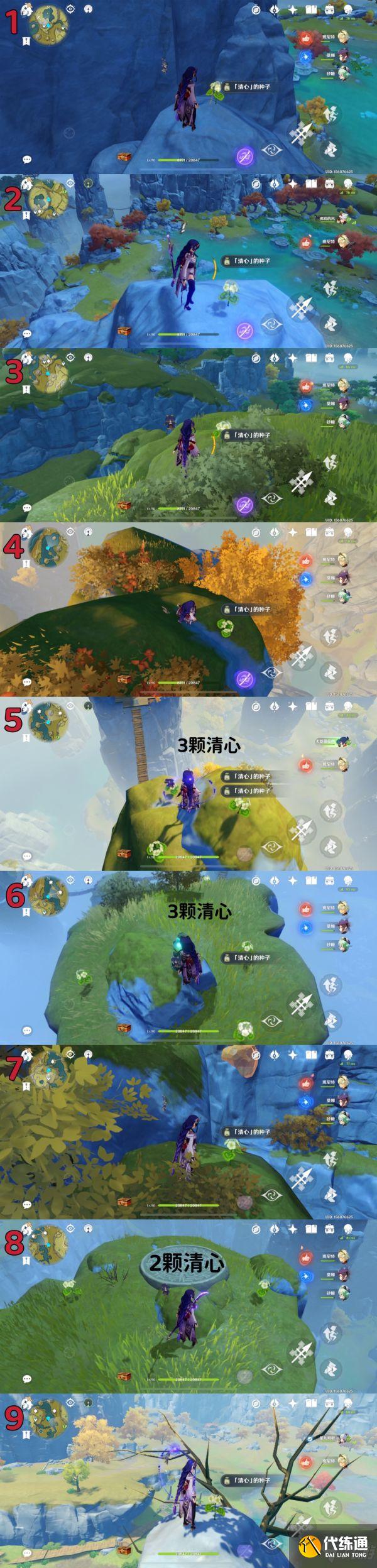 《原神》清心高效采集线路推荐