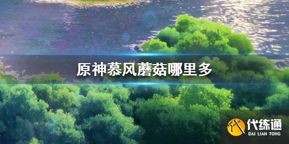 《原神手游》2.4慕风蘑菇哪里多 慕风蘑菇位置介绍