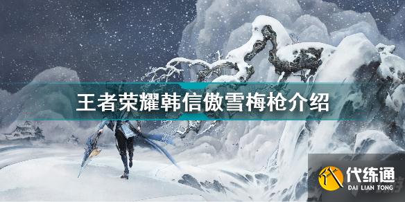 王者荣耀韩信新皮肤怎么样 王者荣耀韩信傲雪梅枪介绍