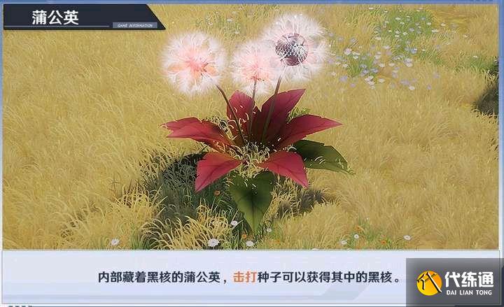 幻塔蒲公英画面