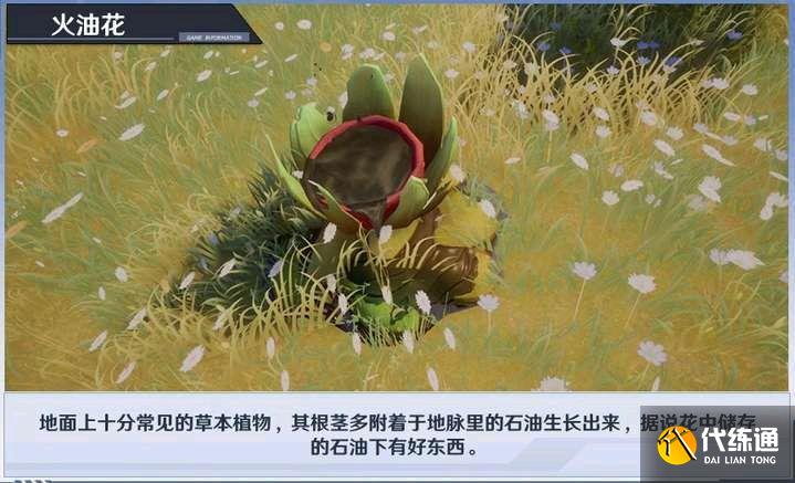 幻塔火油花画面