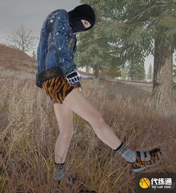 绝地求生2022虎年皮肤质量评测