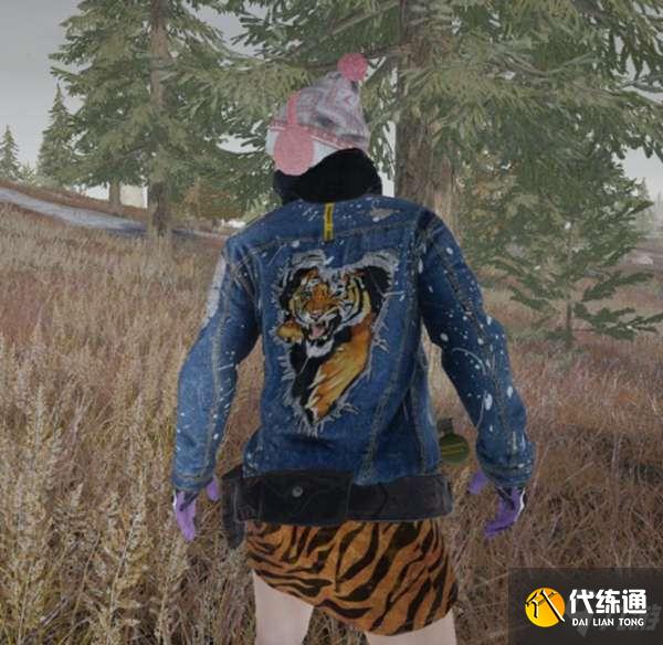 绝地求生2022虎年皮肤质量评测