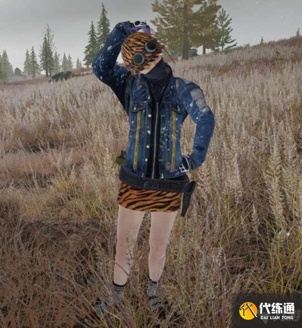 绝地求生2022虎年皮肤质量评测