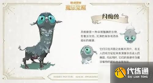 《哈利波特魔法觉醒》月痴兽怎么获得