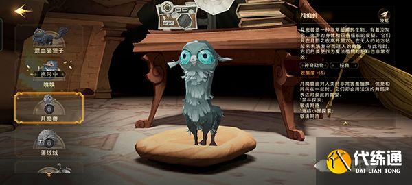 哈利波特魔法觉醒灯谜答案大全：魔法灯谜会答案一览[多图]图片2