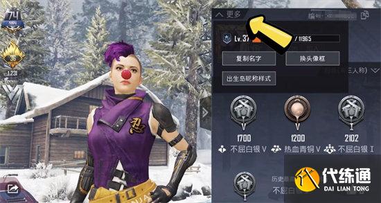 和平精英v标志是什么