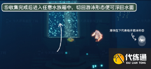 《光遇》潜海季第二个任务攻略