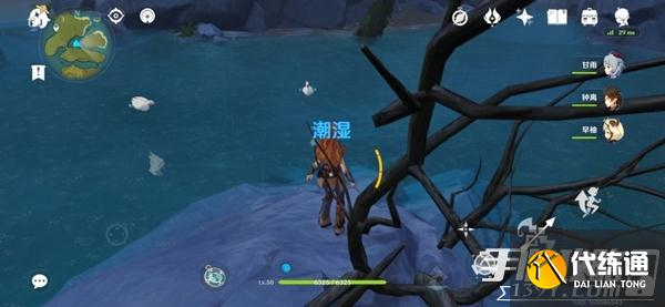 《原神》提瓦特鸭子分布位置大全