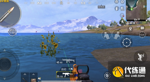 和平精英山谷向日葵 和平精英山谷向日葵位置