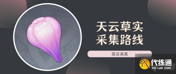 《原神》天云草实采集路线分享