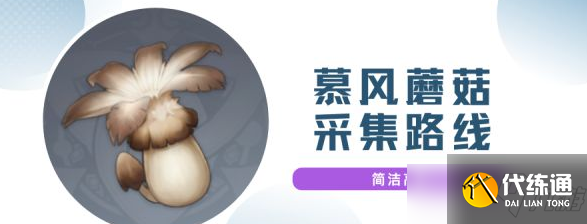 原神慕风蘑菇采集路线