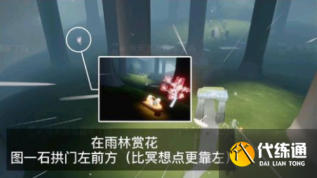 光遇2022年花憩节赏花任务攻略：全图赏花任务位置大全[多图]图片1