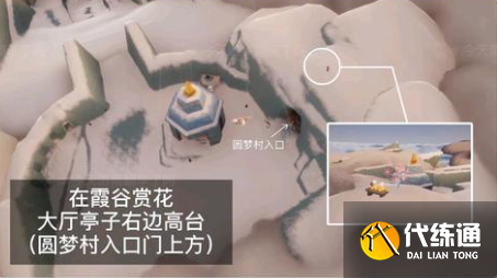 光遇2022年花憩节赏花任务攻略：全图赏花任务位置大全[多图]图片3