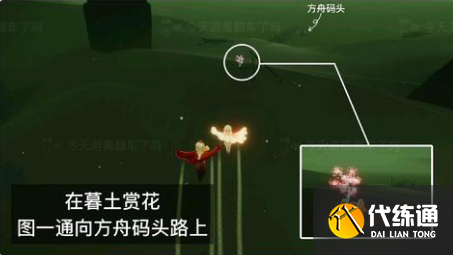 光遇2022年花憩节赏花任务攻略：全图赏花任务位置大全[多图]图片4