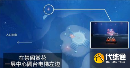 光遇2022年花憩节赏花任务攻略：全图赏花任务位置大全[多图]图片5