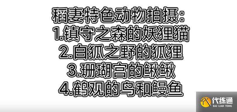 原神容彩诗镜其二怎么拍照 容彩诗镜其二拍照攻略