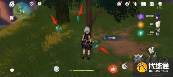 原神四张蒙德区域特产任务攻略 蒙德特产拍照位置分享