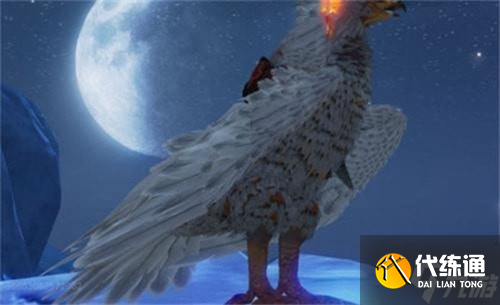 妄想山海赤翎雕在哪里 妄想山海赤翎雕位置分享