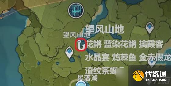 《原神》金赤假龙获得攻略