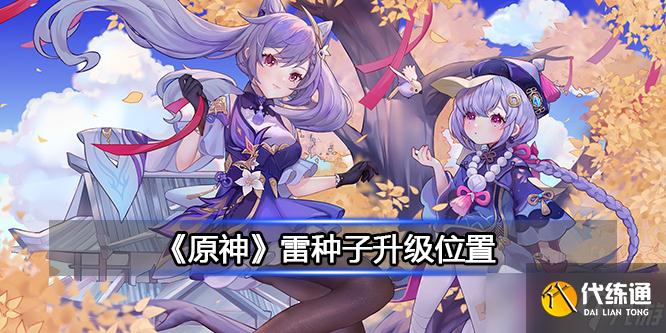 《原神》雷种子升级位置详解