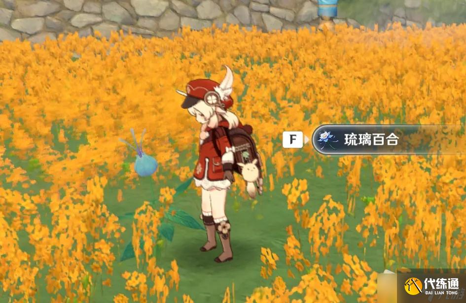 《原神》2.6琉璃百合采集位置详解