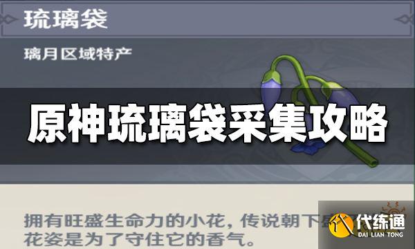 原神琉璃袋在哪采集 琉璃袋最新采集路线一览