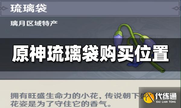 原神琉璃袋在哪购买 琉璃袋购买地点一览