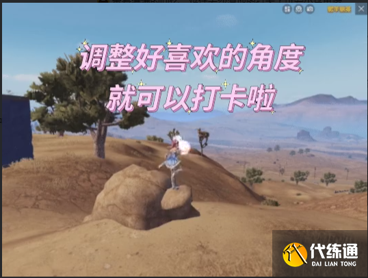 和平精英小乌龟在哪里 小乌龟打卡点位置一览