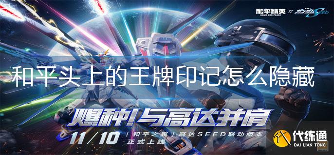 和平精英头上的王牌印记怎么隐藏-王牌印记隐藏方法