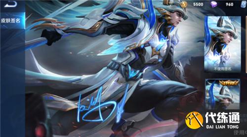 王者荣耀皮肤签名有什么用 动态签名有必要买吗