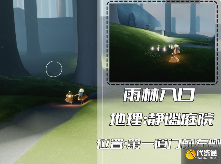 光遇雨林冥想位置汇总 雨林冥想点在哪