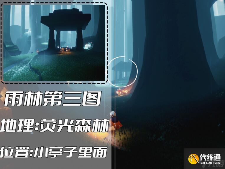 光遇雨林冥想位置汇总 雨林冥想点在哪
