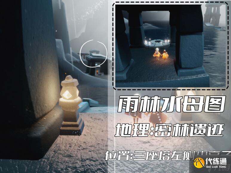 光遇雨林冥想位置汇总 雨林冥想点在哪