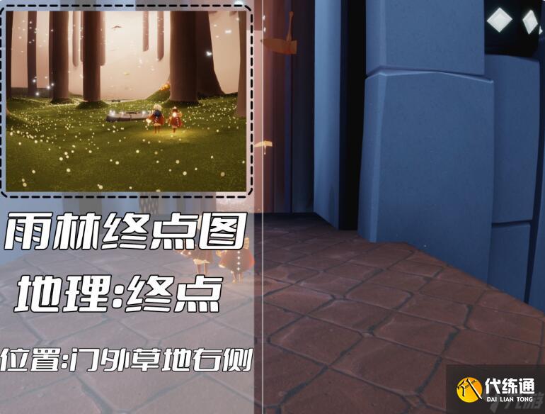 光遇雨林冥想位置汇总 雨林冥想点在哪
