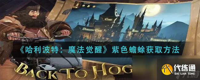 《哈利波特:魔法觉醒》紫色蟾蜍获取方法