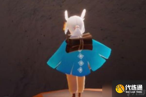 光遇伞火鸟是什么意思(光遇火鸟号是什么)