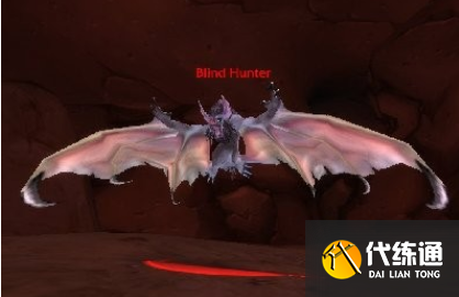 wlk蝙蝠宝宝位置分布点 wlk蝙蝠宝宝位置分布点