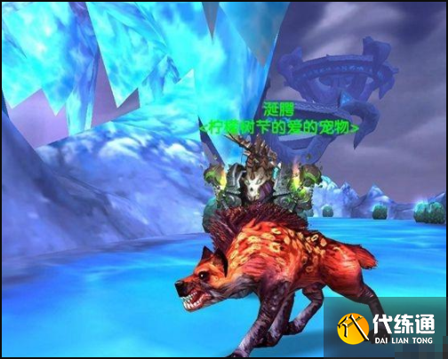 猎人稀有宠物大全